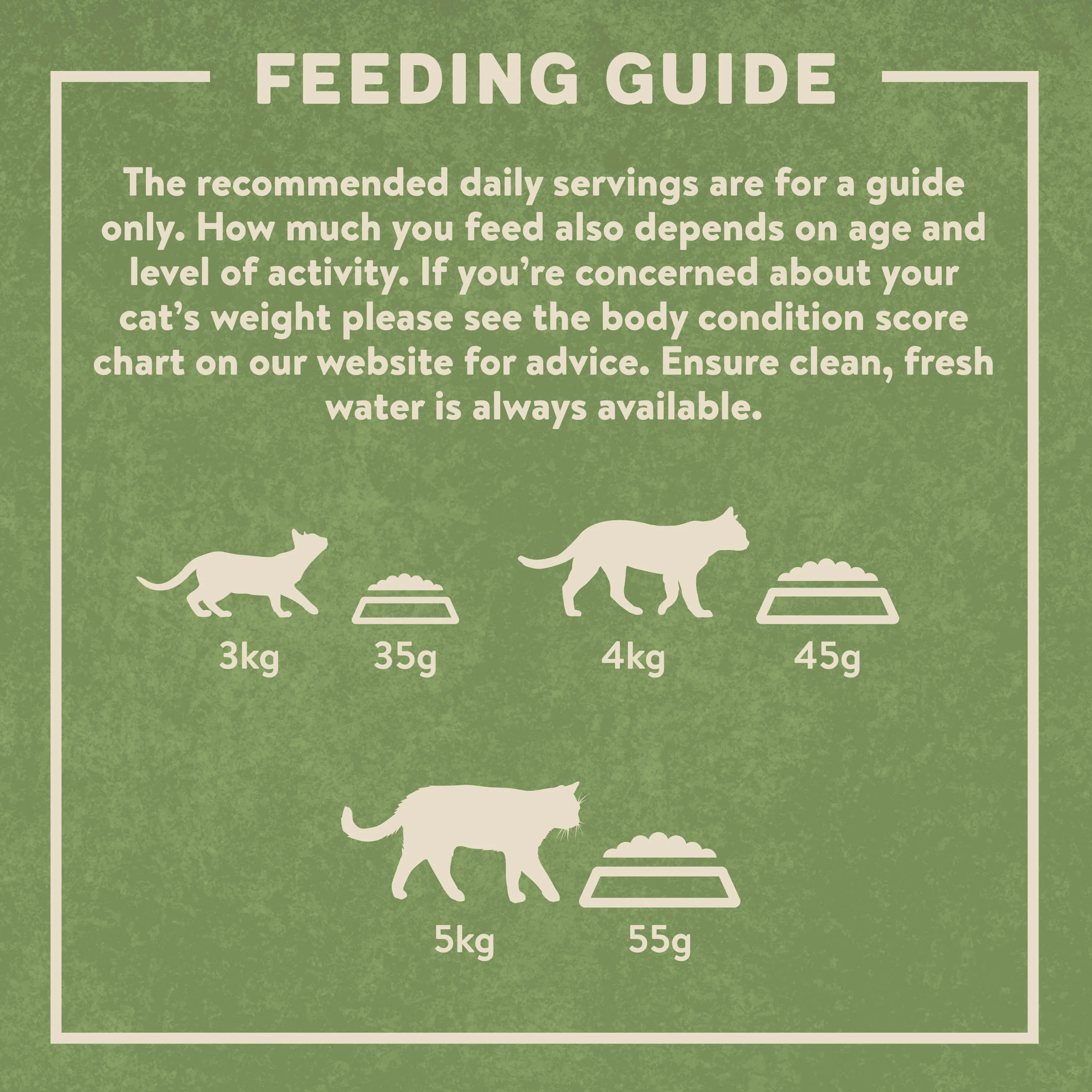 Complete Adult Chicken Dry Cat Food 2kg - Image 4