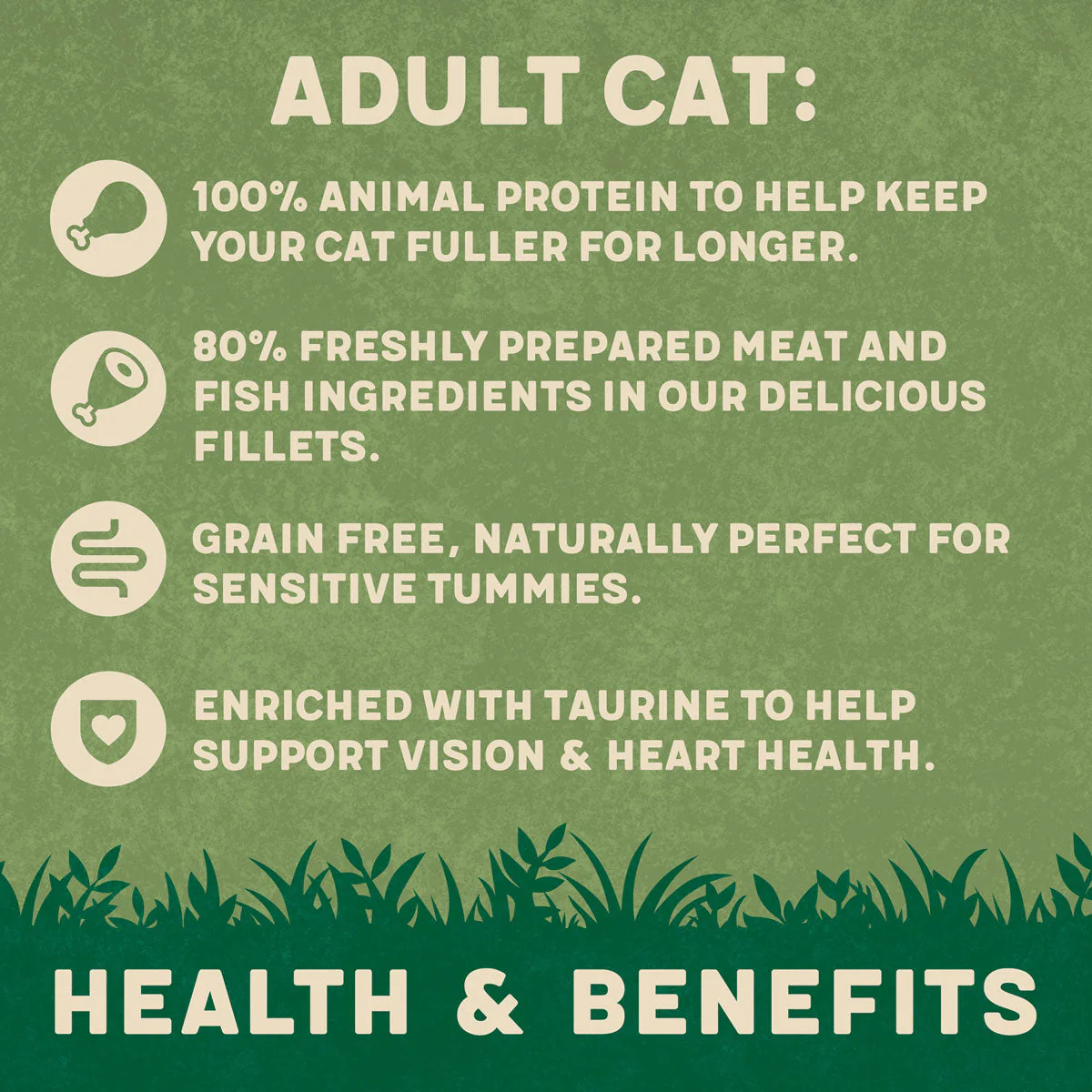 Complete Grain-Free Adult Fish Selection in Jelly Wet Cat Food Bumper Pack 40x85g - Image 5