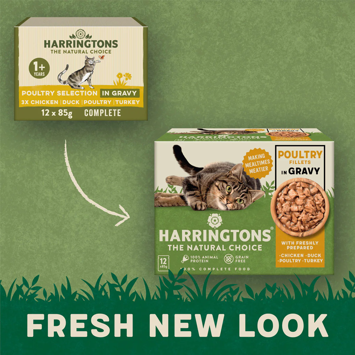 Complete Grain-Free Adult Poultry Selection in Gravy Wet Cat Food Bundle 72x85g - Image 7