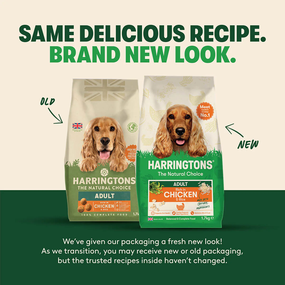 Dry Adult Dog Food Rich in Chicken & Rice 1.7kg - Image 7