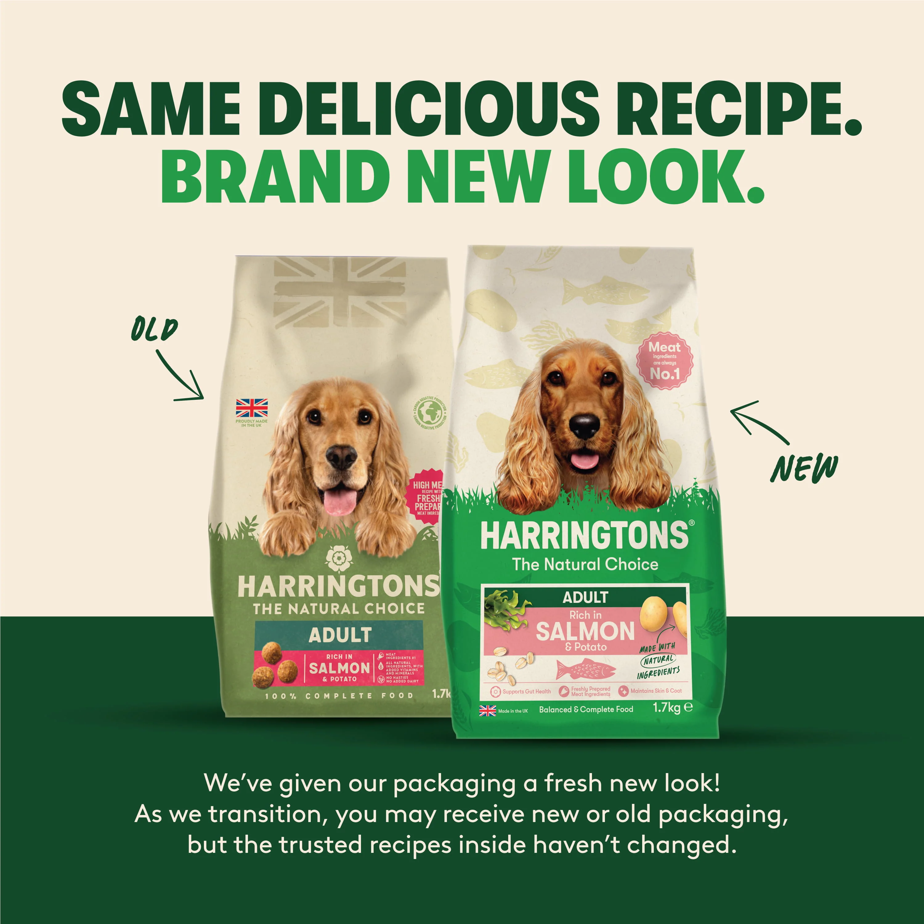 Dry Adult Dog Food Rich in Salmon & Potato 1.7kg - Image 8
