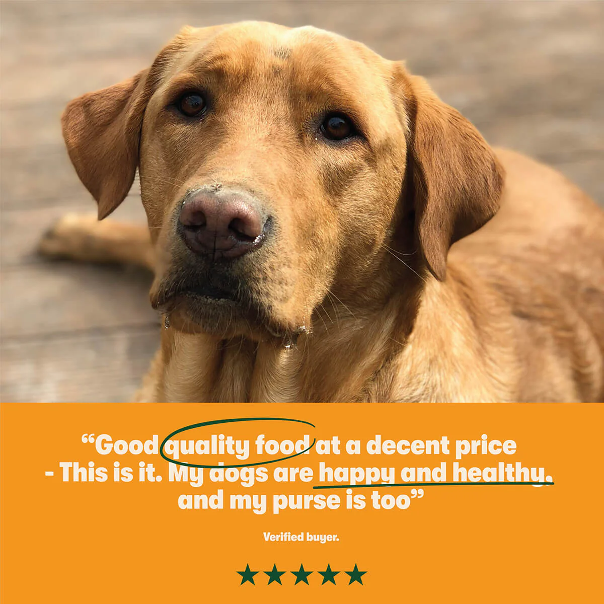 Dry Adult Dog Food Rich in Turkey & Veg 15kg - Image 7