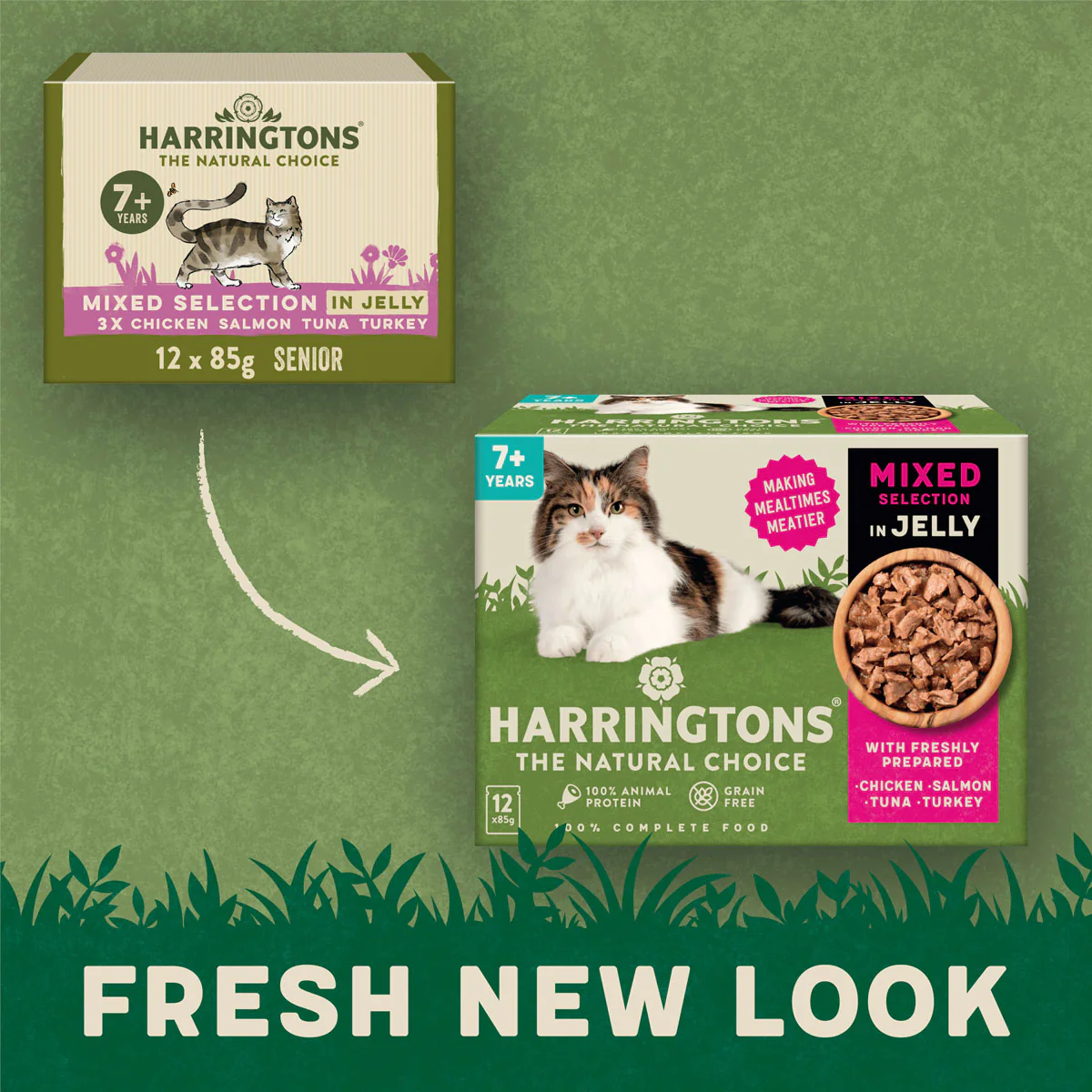 Complete Senior Grain-Free Mixed Selection in Jelly Cat Food Bundle 72x85g - Image 5