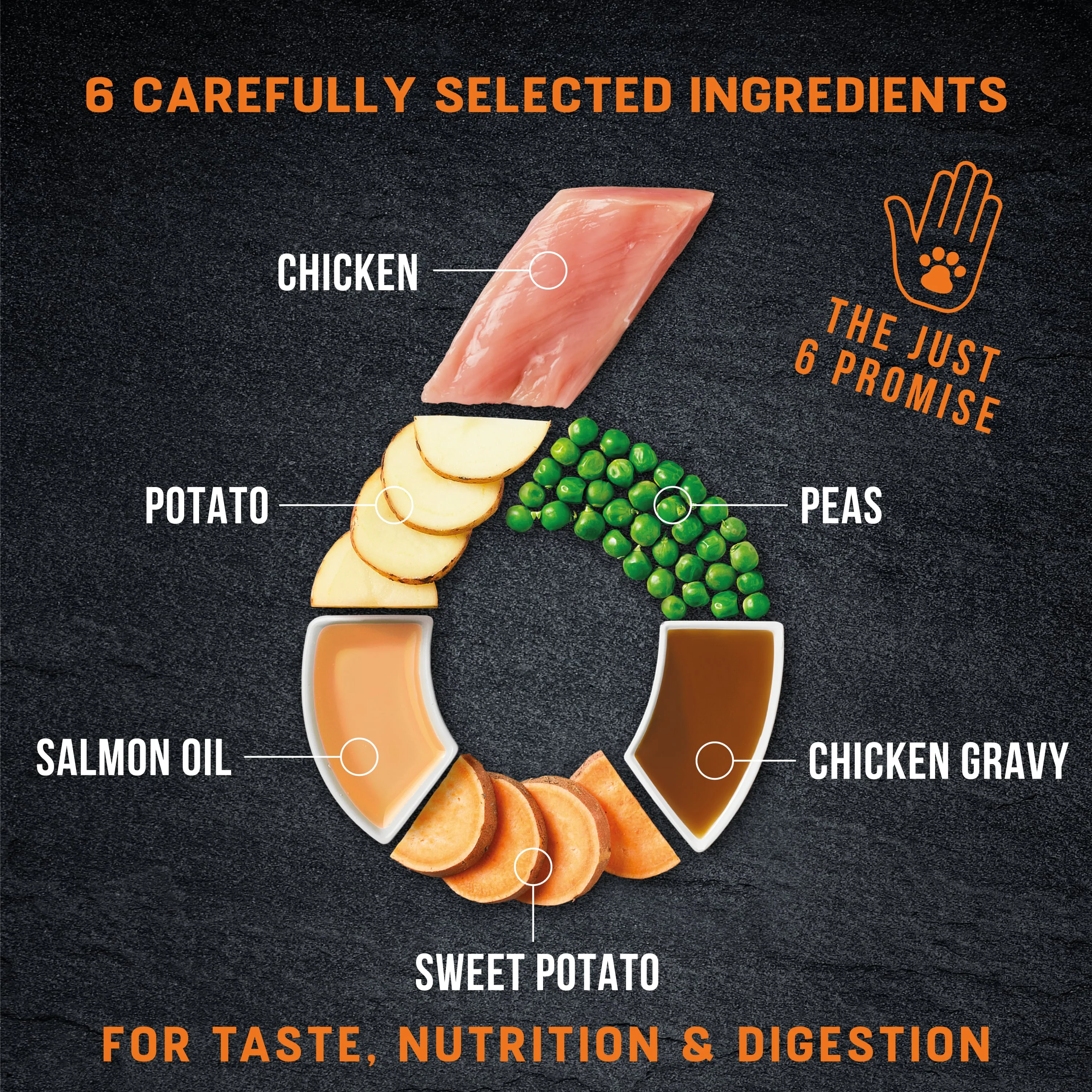 Just 6 Chicken with Vegetables & Gravy Complete Grain-Free Wet Dog Food 8 x 380g - Image 5