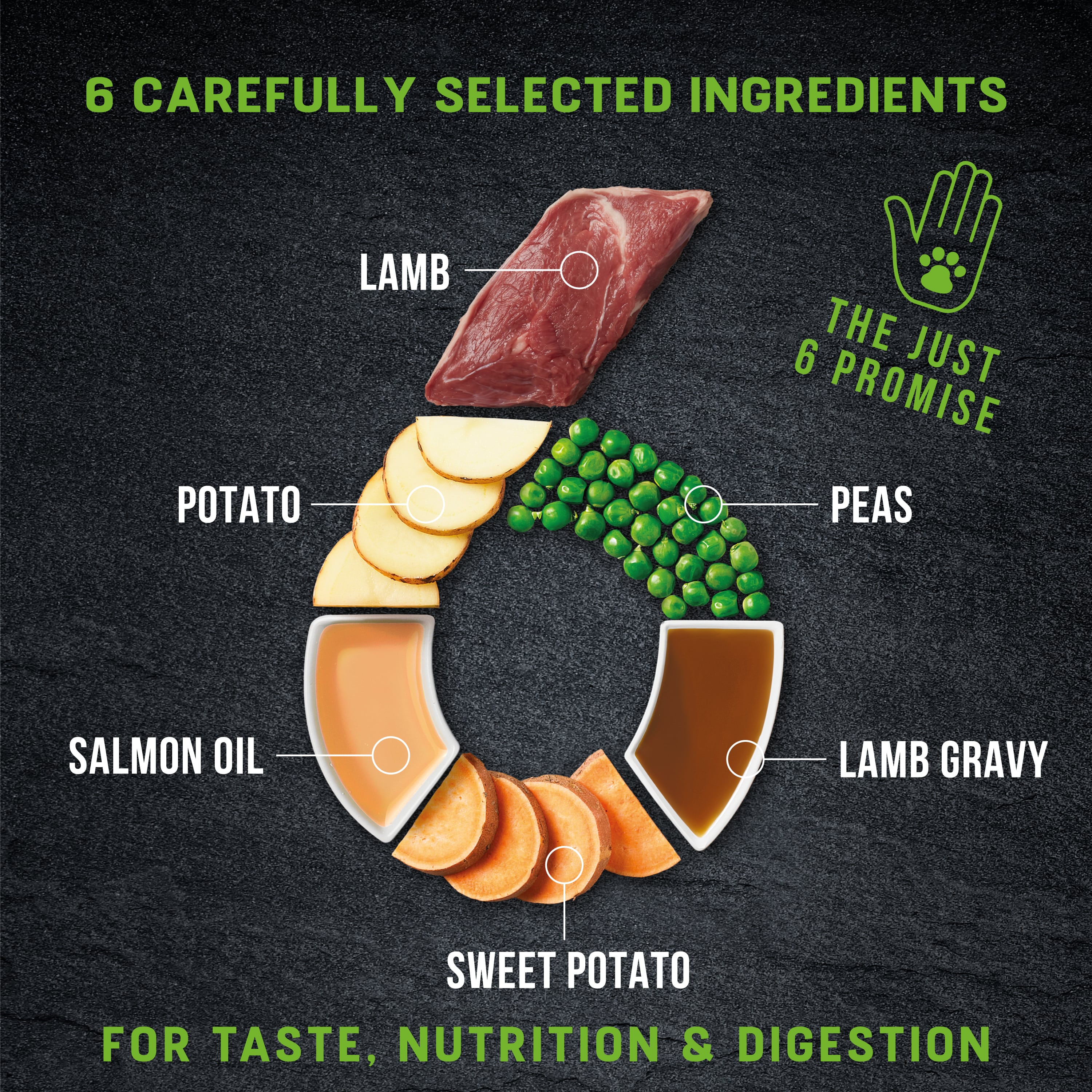 Just 6 Lamb with Vegetables & Gravy Complete Grain-Free Wet Dog Food 8 x 380g - Image 5