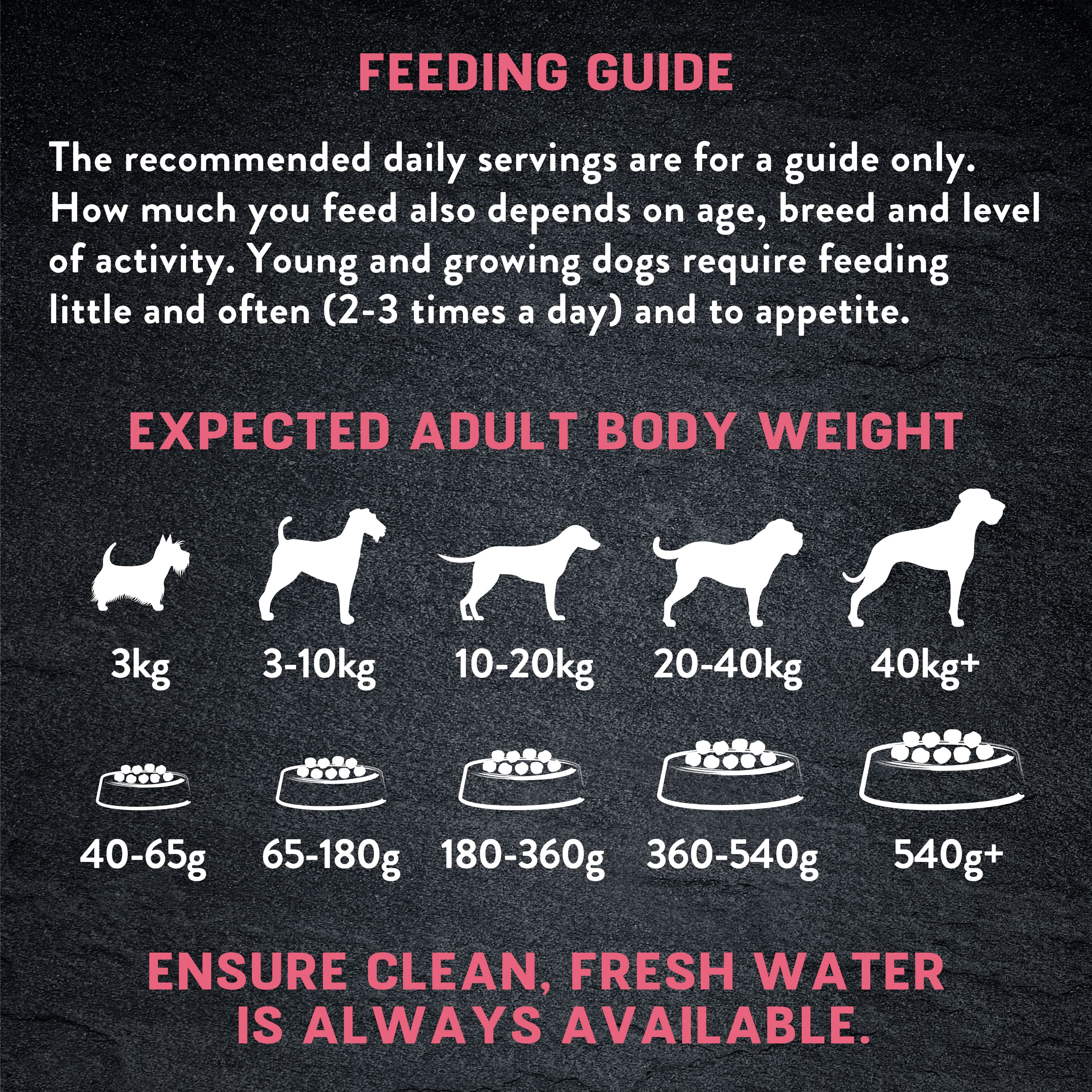 Just 6 Salmon & Vegetables Dry Dog Food 2kg - Image 6