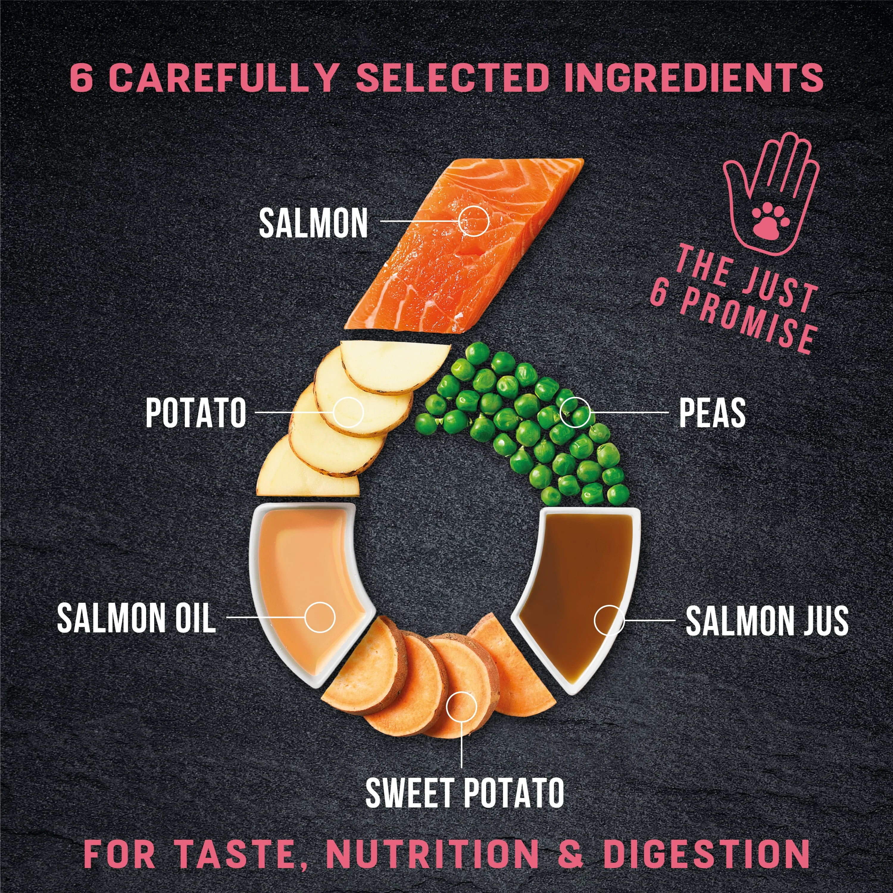 Just 6 Salmon with Vegetables & Gravy Complete Grain-Free Wet Dog Food 8 x 380g - Image 10