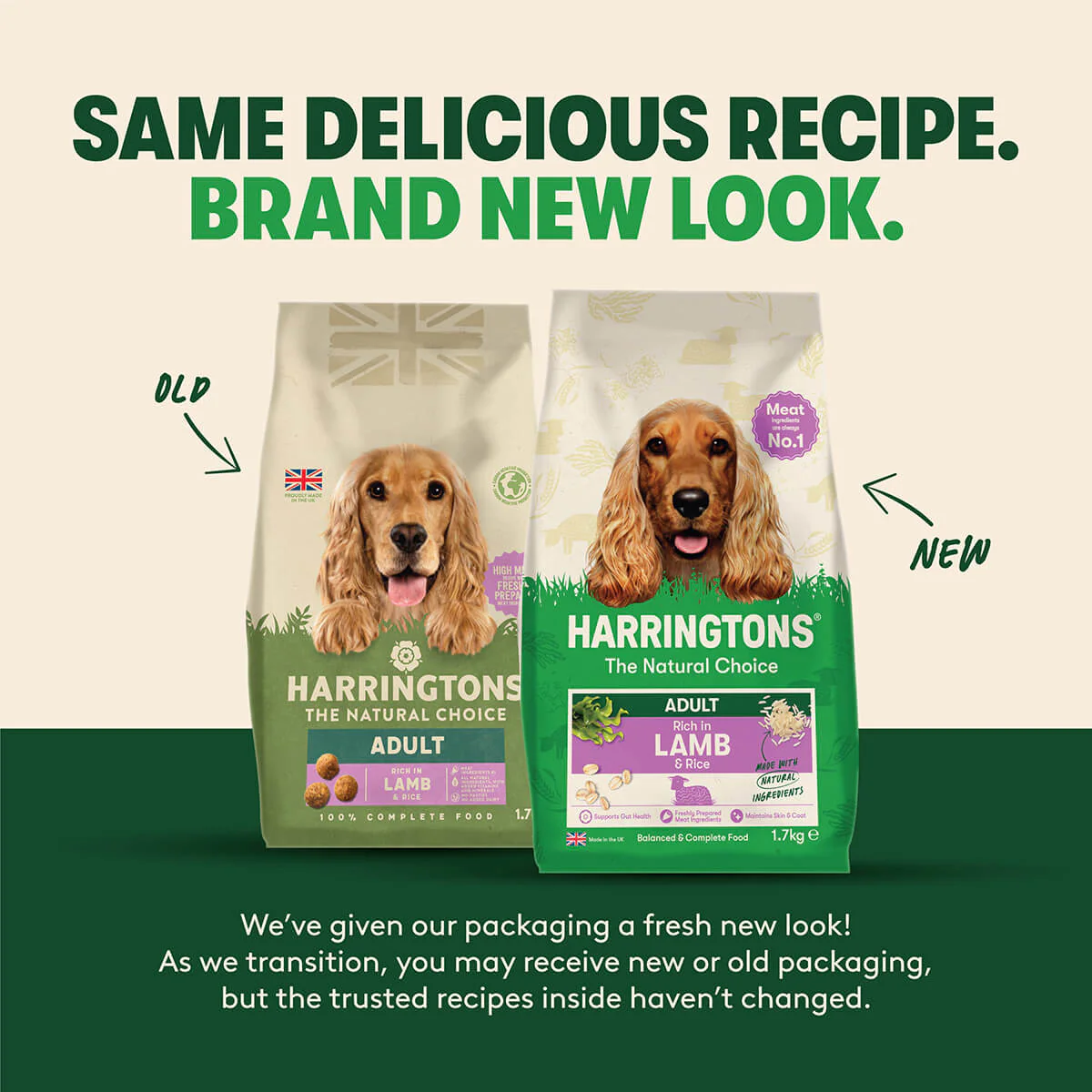 Dry Adult Dog Food Rich in Lamb & Rice 1.7kg - Image 8
