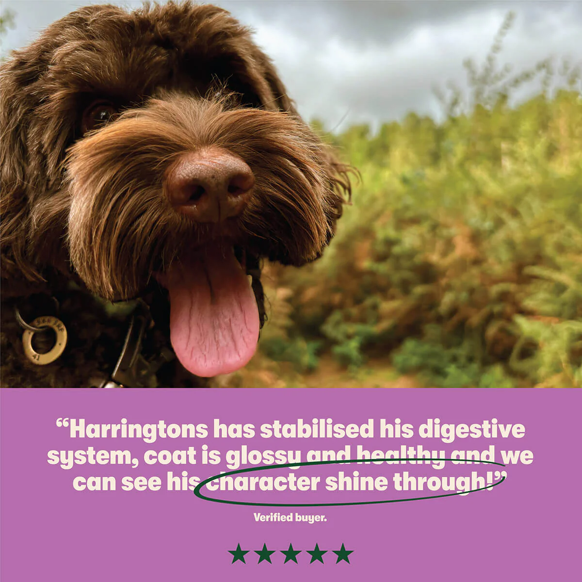 Dry Adult Dog Food Rich in Lamb & Rice 15kg - Image 8