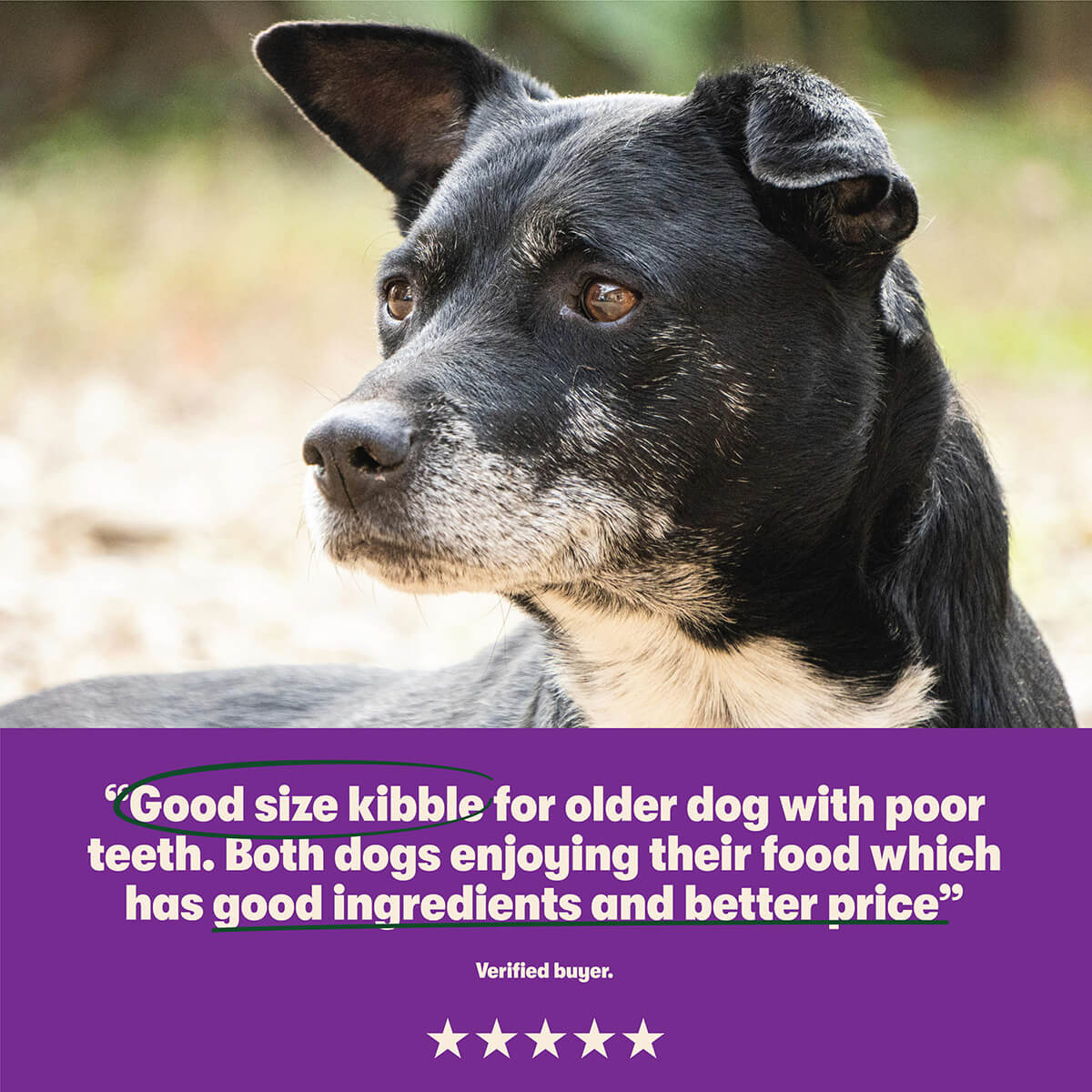 Dry Senior Dog Food Rich in Chicken & Rice 12kg - Image 7