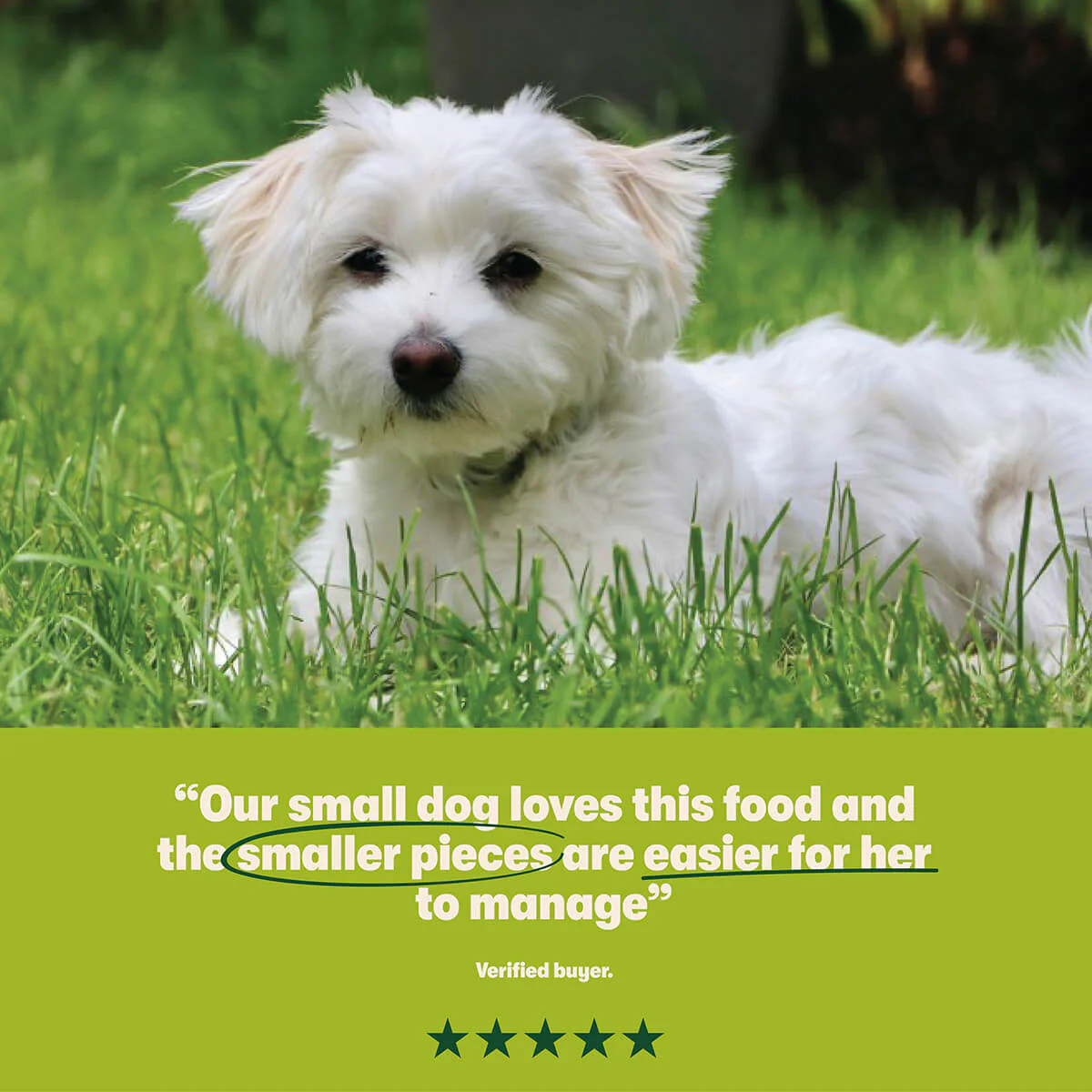 Dry Small Breed Adult Dog Food Rich in Turkey & Rice 5 x 1kg - Image 5