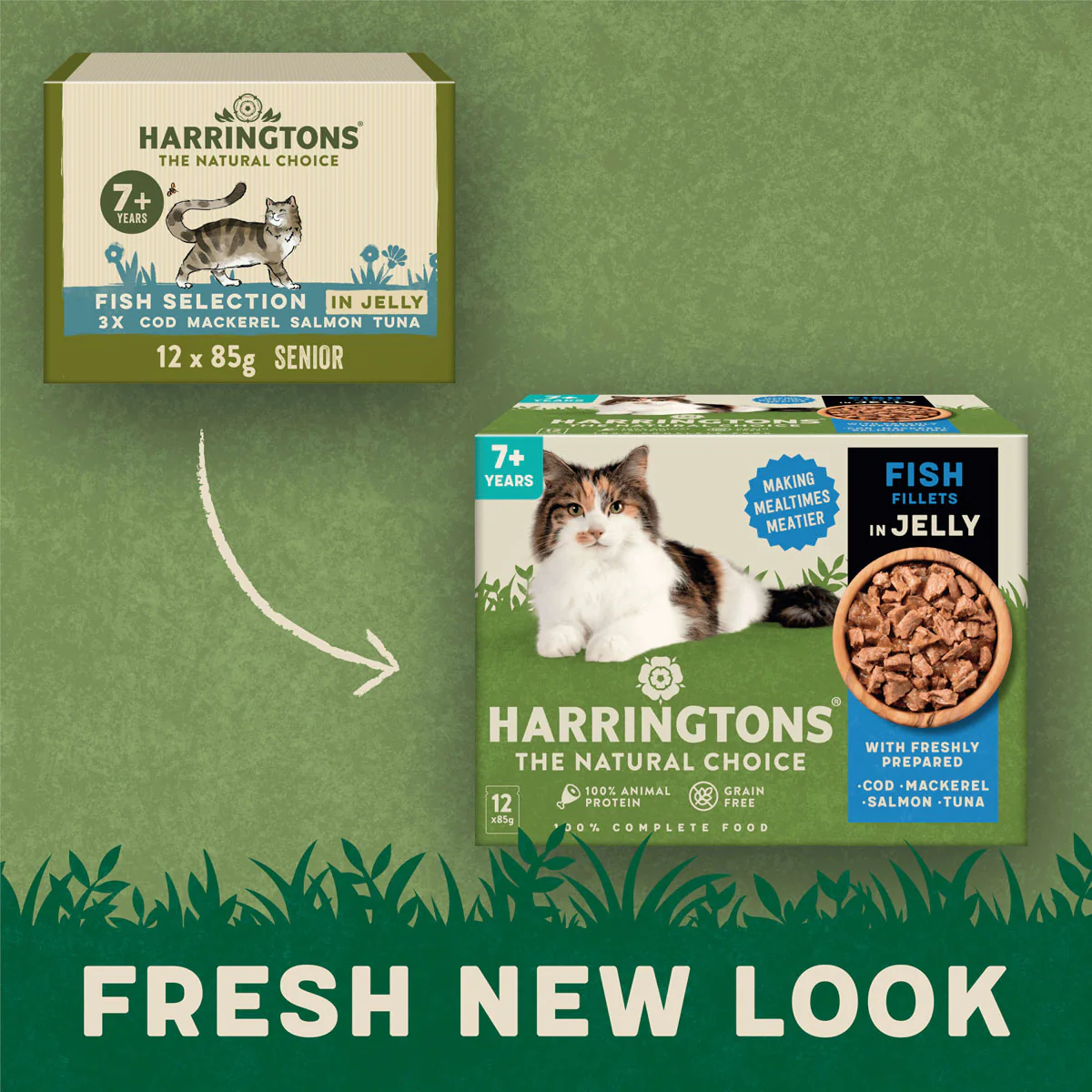 Complete Senior Grain-Free Fish Selection in Jelly Cat Food Bundle 72x85g - Image 7